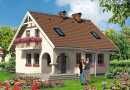 Rodinn dm GL-466 Mini Mad
